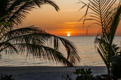 Special dining: enjoy an amazing sunset dinner on the private beachfront 